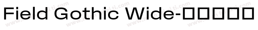 Field Gothic Wide字体转换